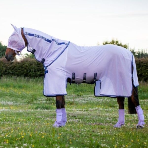 Couverture anti-mouches Amigo Buster Lavender HORSEWARE - Chemises anti-mouches