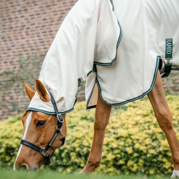 Couverture anti-mouches Rambo Hoody Chalk HORSEWARE - Chemises anti-eczema