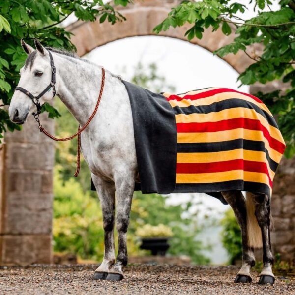 Couverture carrée polaire Newmarket HORSEWARE - Polars et séchantes