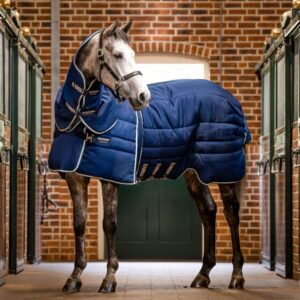 Couverture d'écurie Rambo Optimo Plus 400gr HORSEWARE - Couvertures de box
