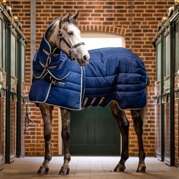 Couverture d'écurie Rambo Optimo Plus 400gr HORSEWARE - Couvertures de box