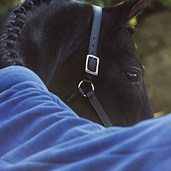 Couverture polaire Rambo Cosy Fleece HORSEWARE - Polars et séchantes