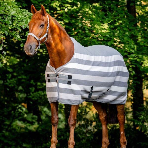 Couverture séchante Newmarket Pony HORSEWARE - Polars et séchantes