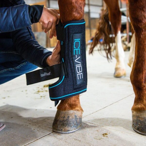 HORSEWARE Ice-Vibe® beenkappen - Therapeutisch