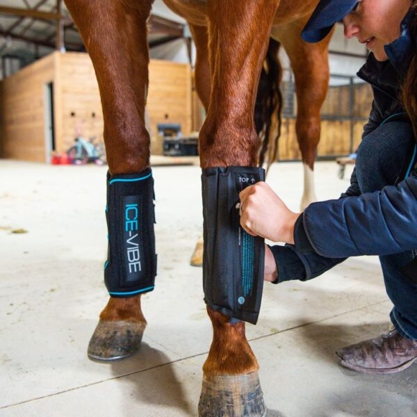 HORSEWARE Ice-Vibe® beenkappen - Therapeutisch