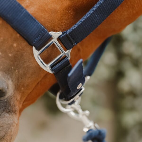 Licol Condor LC EQUESTRIAN - Licols et accessoires