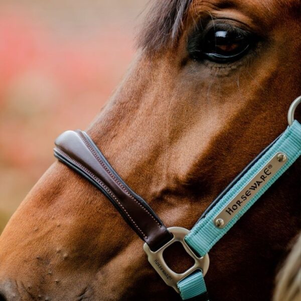 Licol Signature HORSEWARE - Licols et accessoires