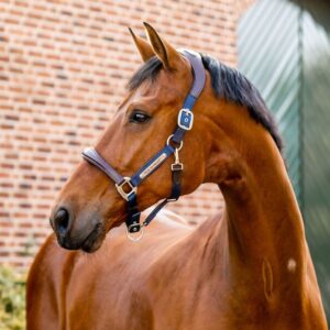 Licol Signature HORSEWARE - Licols et accessoires
