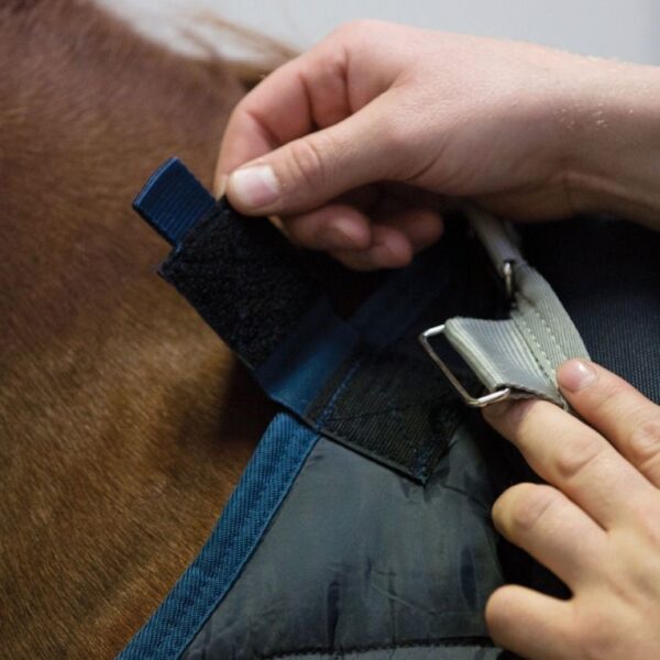 Liner 200gr HORSEWARE - Sous-couvertures