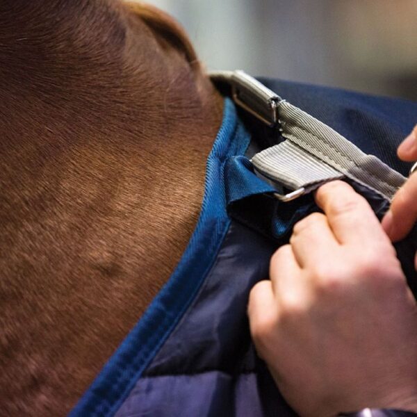 Liner 200gr HORSEWARE - Sous-couvertures