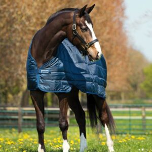 Liner 400gr HORSEWARE - Sous-couvertures