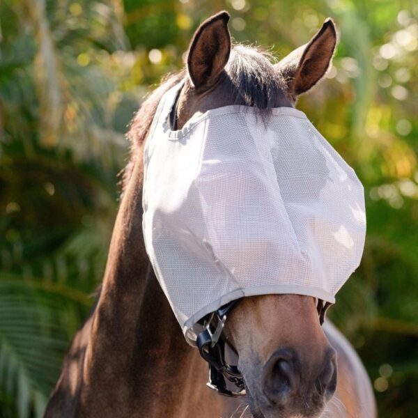 Masque anti-mouches sans oreilles Amigo HORSEWARE - Masques et franges
