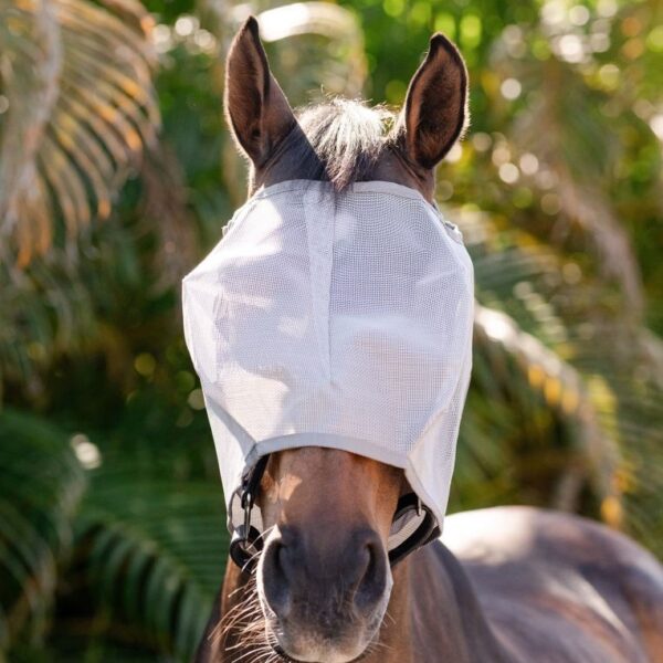 Masque anti-mouches sans oreilles Amigo HORSEWARE - Masques et franges