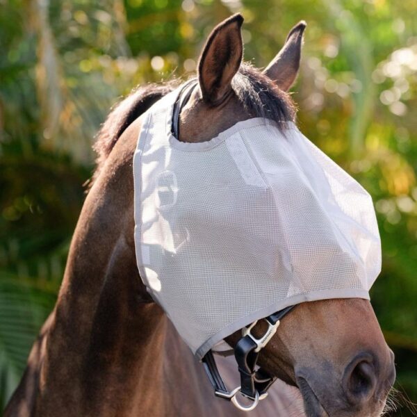 Masque anti-mouches sans oreilles Amigo HORSEWARE - Masques et franges