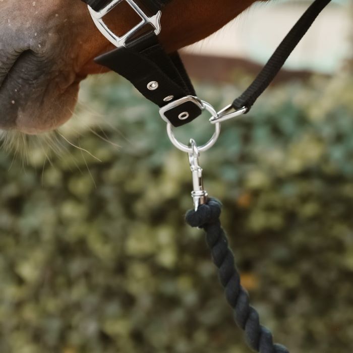 Corde Orlando LC EQUESTRIAN - Cordes et chaînes