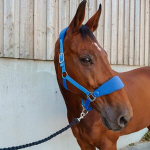 Licol Lilly LC EQUESTRIAN - Licols et accessoires