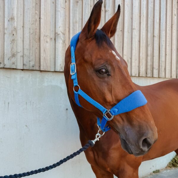 Licol Lilly LC EQUESTRIAN - Licols et accessoires