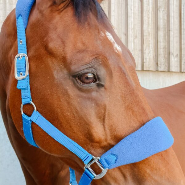 Licol Lilly LC EQUESTRIAN - Licols et accessoires