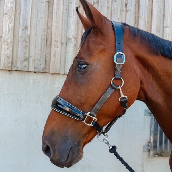 Licol en cuir brillant Nina LC EQUESTRIAN - Licols et accessoires