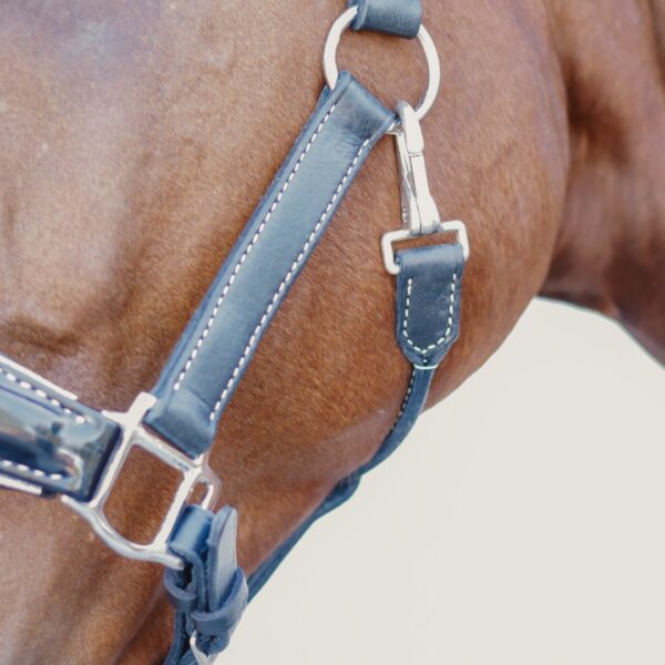 Licol en cuir brillant Nina LC EQUESTRIAN - Licols et accessoires