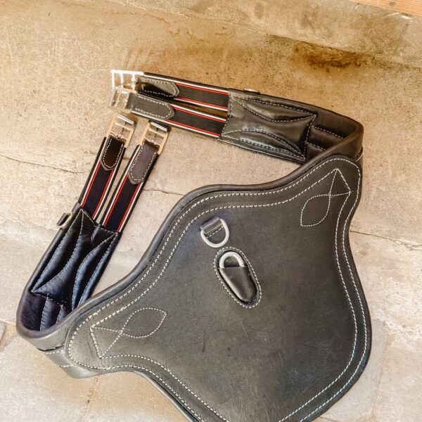 Sangle bavette en cuir Dash LC EQUESTRIAN - Lc-Equestrian