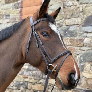 Bridon Luna LC EQUESTRIAN - Bridons